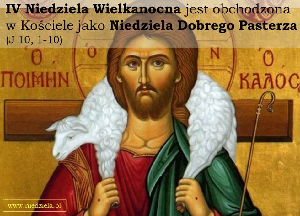 IV Niedziela Wielkanocna – Niedziela Dobrego Pasterza - Homilie Rok A ...