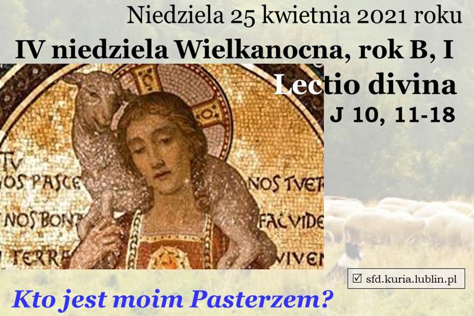 IV Niedziela Wielkanocna – Niedziela Dobrego Pasterza - Homilie Rok B ...